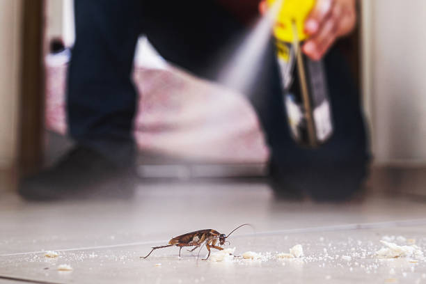 Pest Control for Restaurants in Hurstbourne, KY